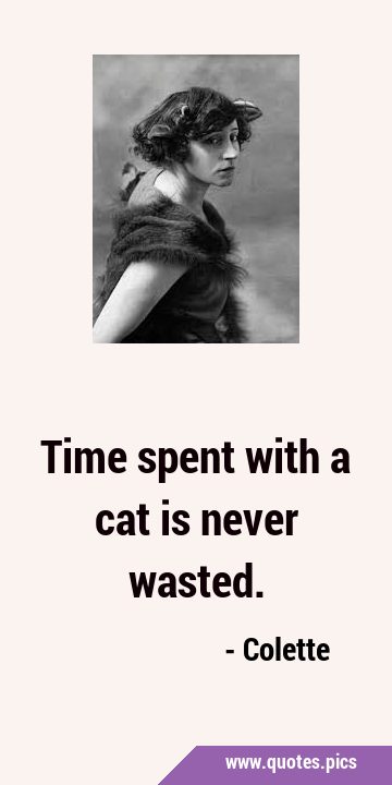 Time spent with a cat is never …