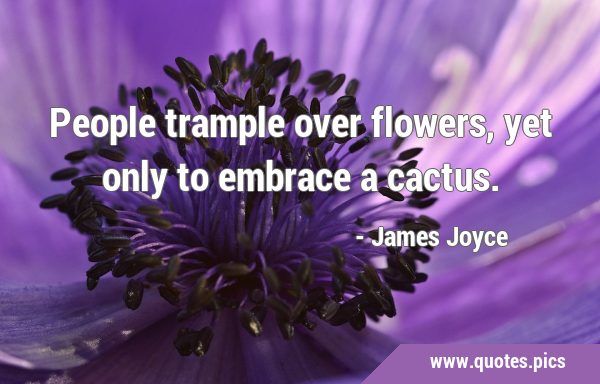 People trample over flowers, yet only to embrace a …