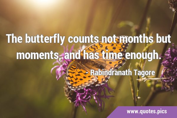 The butterfly counts not months but moments, and has time …