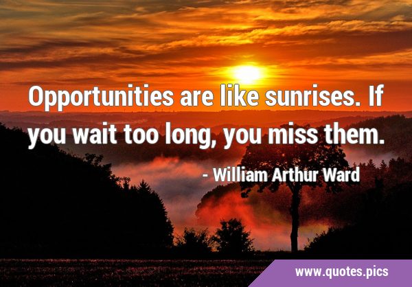 Opportunities are like sunrises. If you wait too long, you miss …
