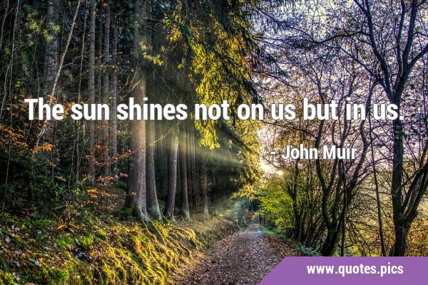 The sun shines not on us but in …