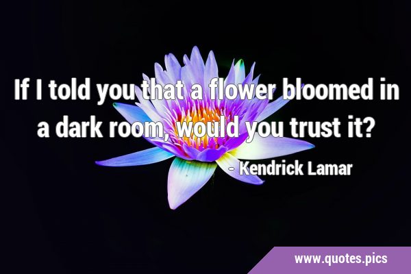 If I told you that a flower bloomed in a dark room, would you trust …