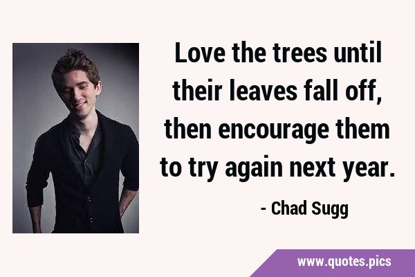 Love the trees until their leaves fall off, then encourage them to try again next …