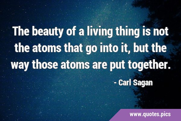 The beauty of a living thing is not the atoms that go into it, but the way those atoms are put …