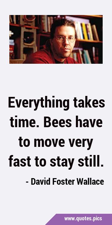 Everything takes time. Bees have to move very fast to stay …