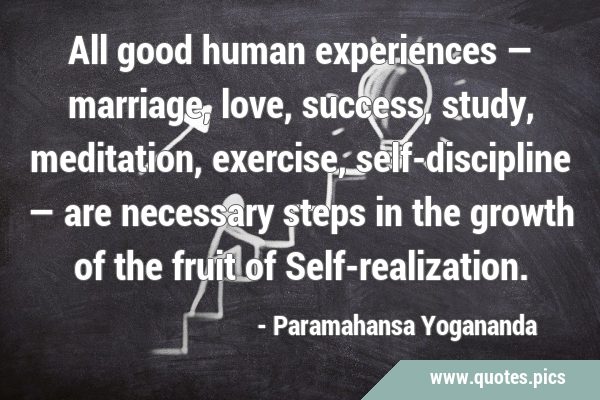 All good human experiences — marriage, love, success, study, meditation, exercise, self-discipline …