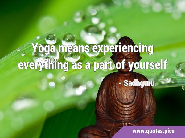 Yoga means experiencing everything as a part of …