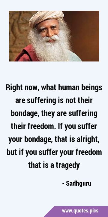 Right now, what human beings are suffering is not their bondage, they are suffering their freedom. …