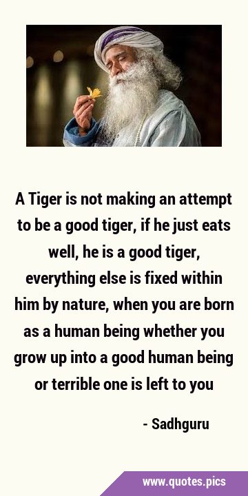 A Tiger is not making an attempt to be a good tiger, if he just eats well, he is a good …