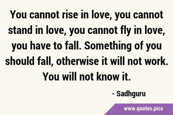 You cannot rise in love, you cannot stand in love, you cannot fly in love, you have to fall. …