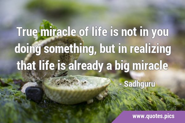 True miracle of life is not in you doing something, but in realizing that life is already a big …