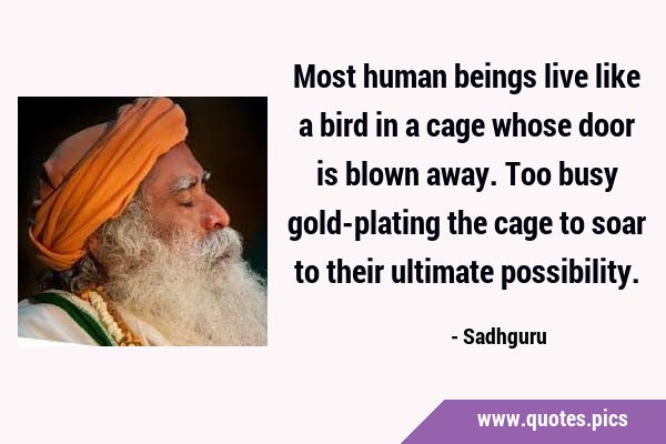 Most human beings live like a bird in a cage whose door is blown away. Too busy gold-plating the …