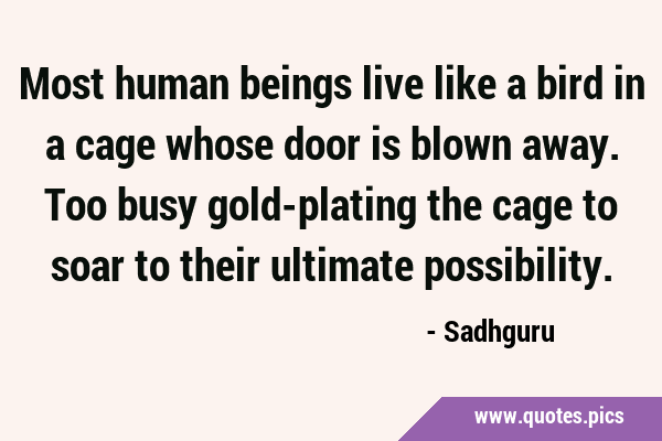 Most human beings live like a bird in a cage whose door is blown away. Too busy gold-plating the …