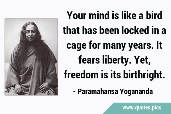 Your mind is like a bird that has been locked in a cage for many years. It fears liberty. Yet, …