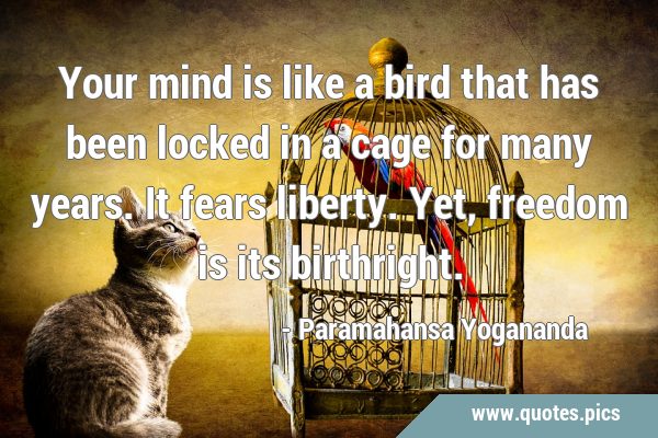 Your mind is like a bird that has been locked in a cage for many years. It fears liberty. Yet, …