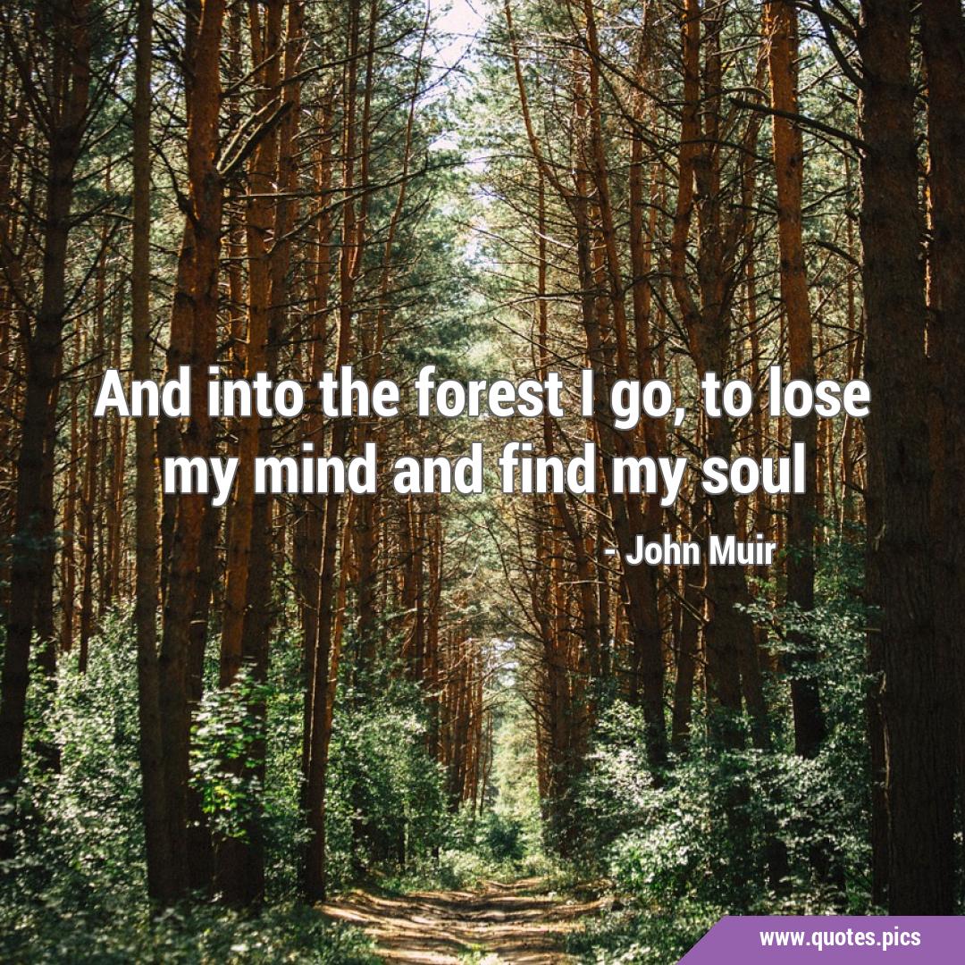 And into the forest I go, to lose my mind and find my soul