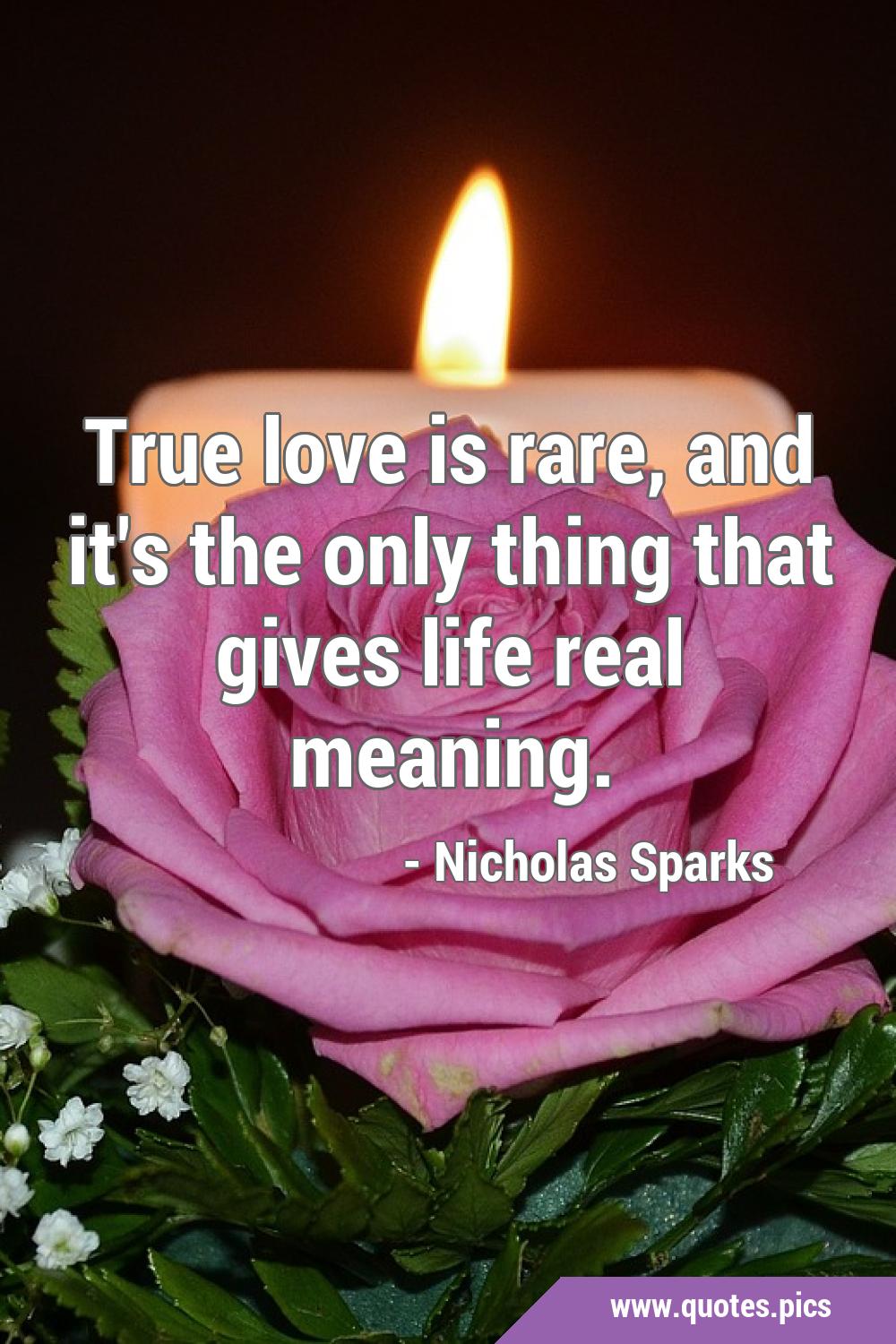 True Love Quotes - True love is rare, and it's the only thing