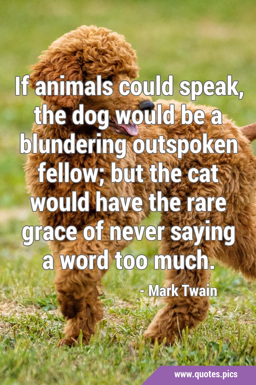 Mark Twain - If animals could speak, the dog would be a blundering  outspoken fellow; but the cat would have the rare grace of never saying a  word too much. Sticker for