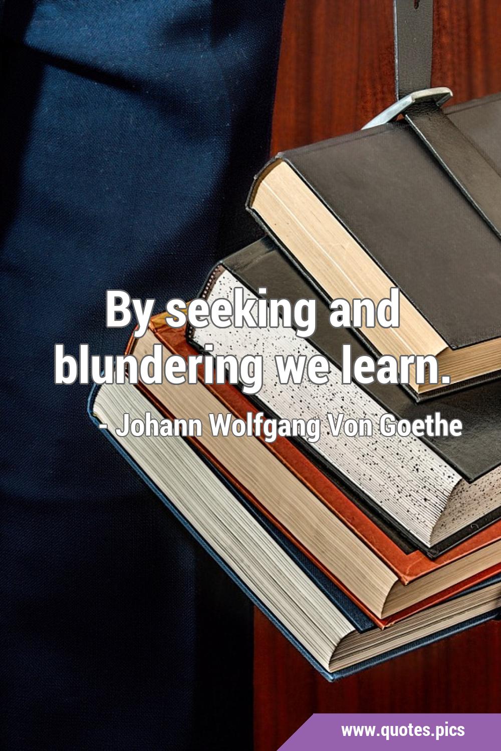 Johann Wolfgang von Goethe quote: By seeking and blundering we learn.