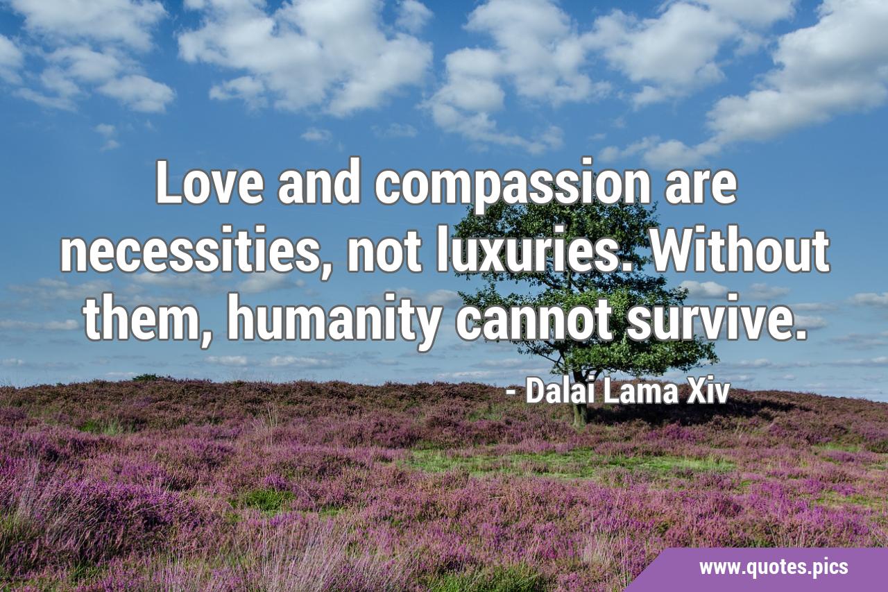 compassionate love quotes